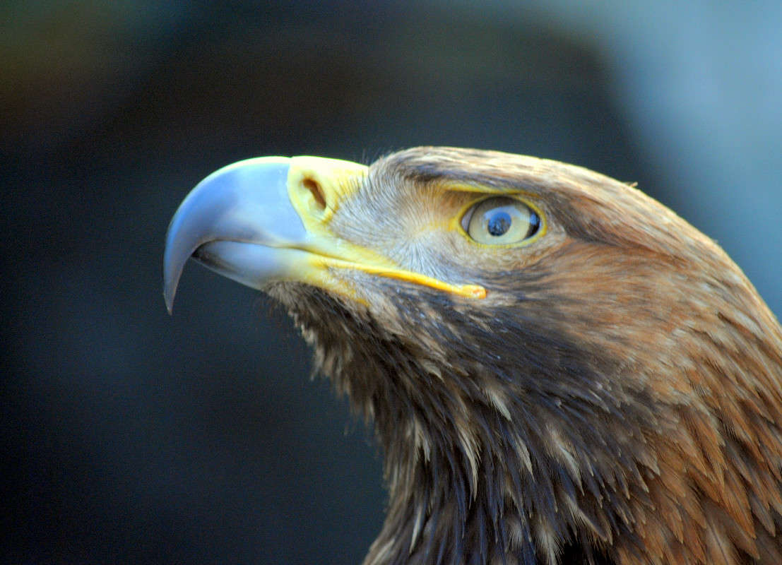 ������. �����   �� PhotoGeek.ru #�������� ���