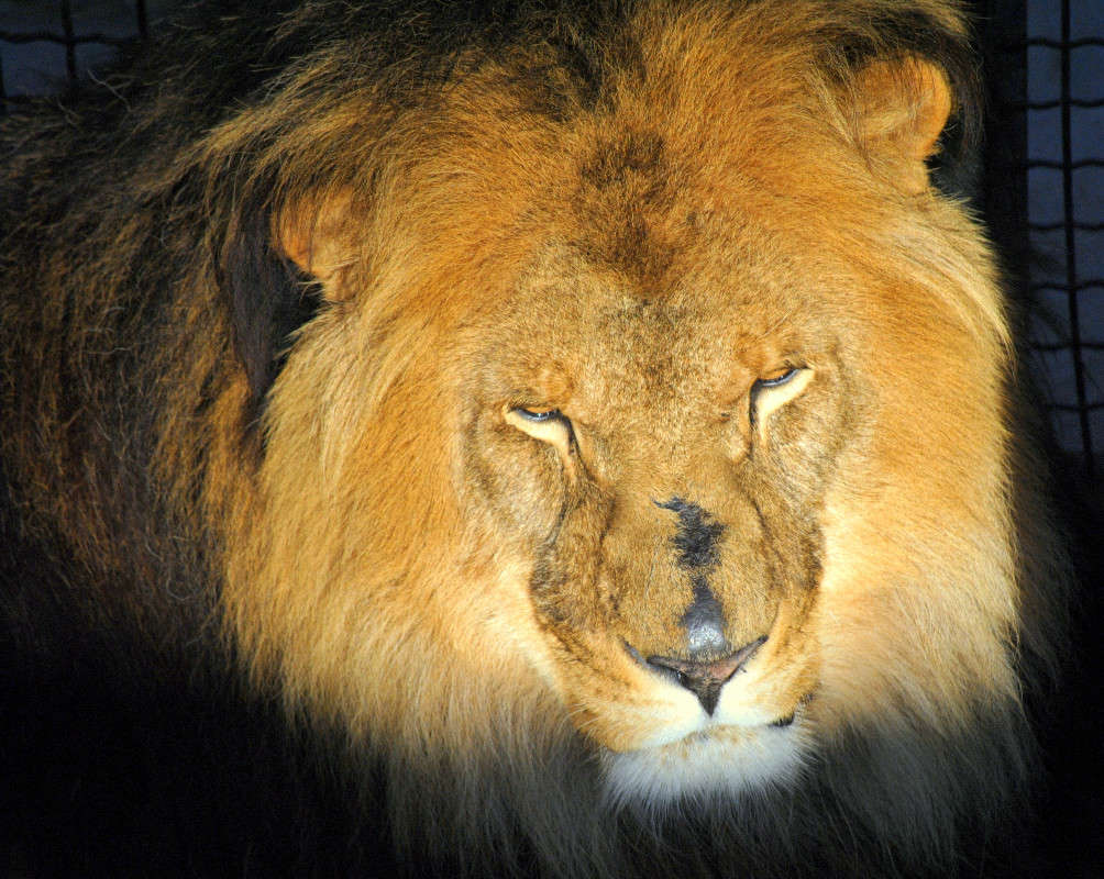 ����. �����   �� PhotoGeek.ru #�������� ���