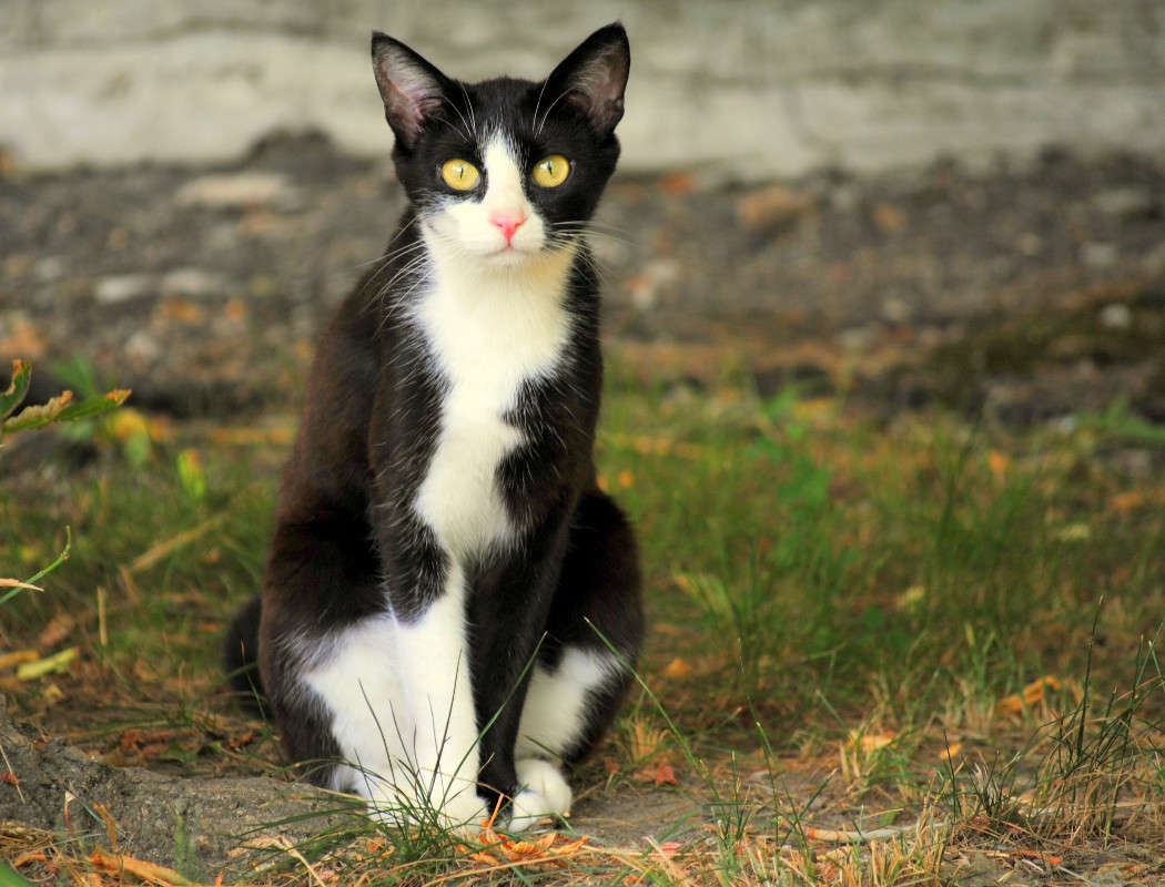 ������ �����   �� PhotoGeek.ru #�������� ��� #�������