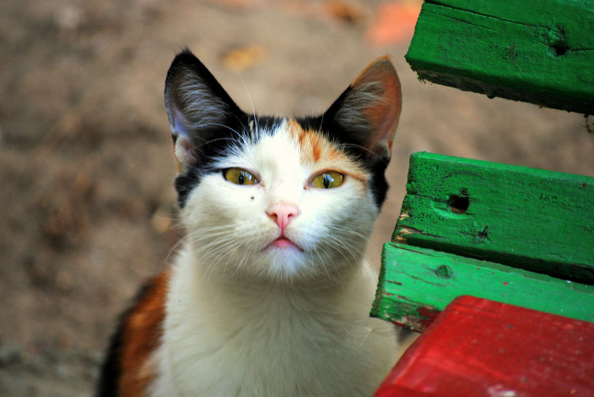 ������. ����� ��������... �����   �� PhotoGeek.ru #�������� ��� #�������