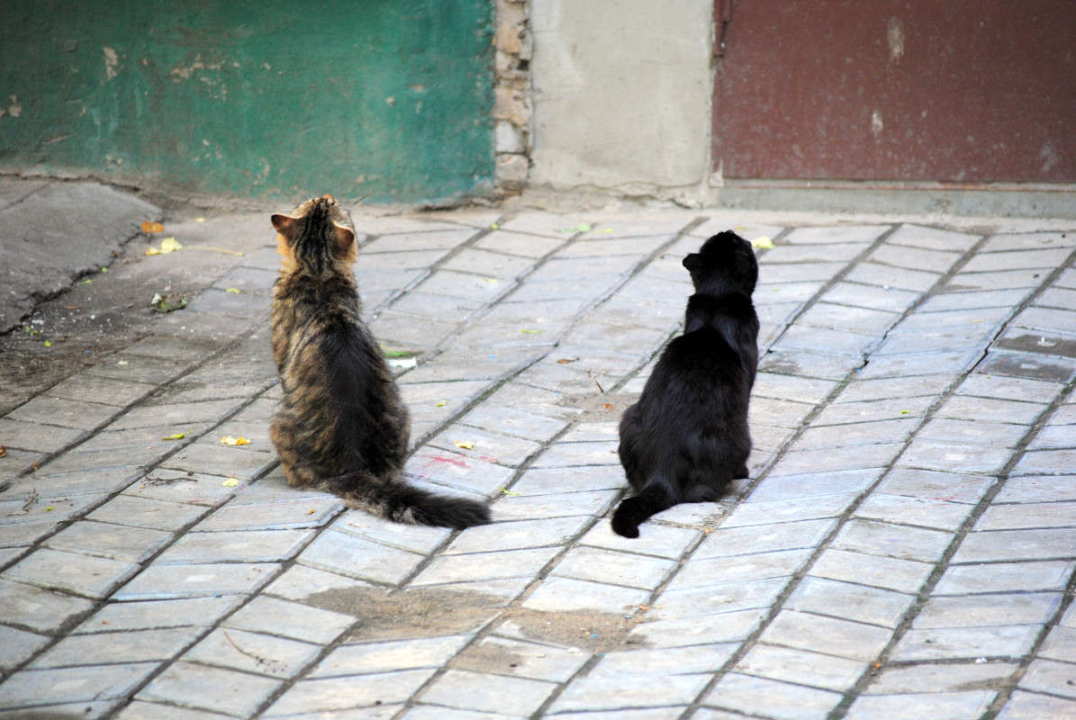 ��������. �����   �� PhotoGeek.ru #�������� ���