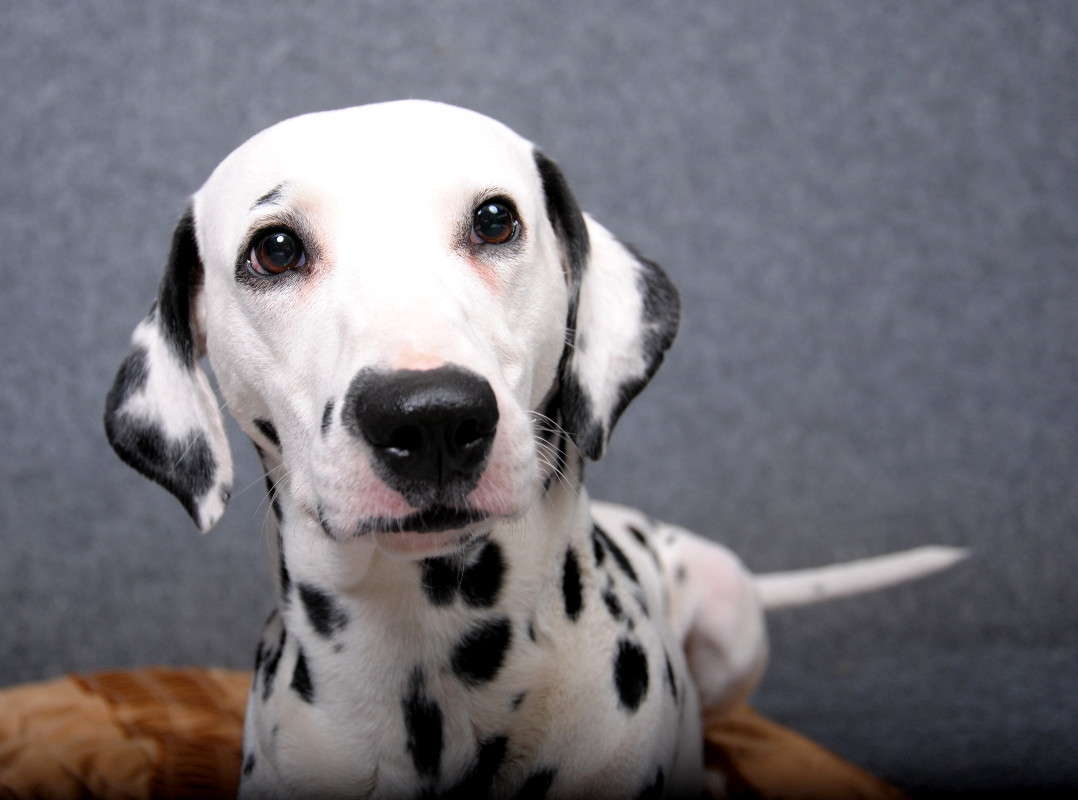 ����������. �����   �� PhotoGeek.ru #�������� ��� #�������