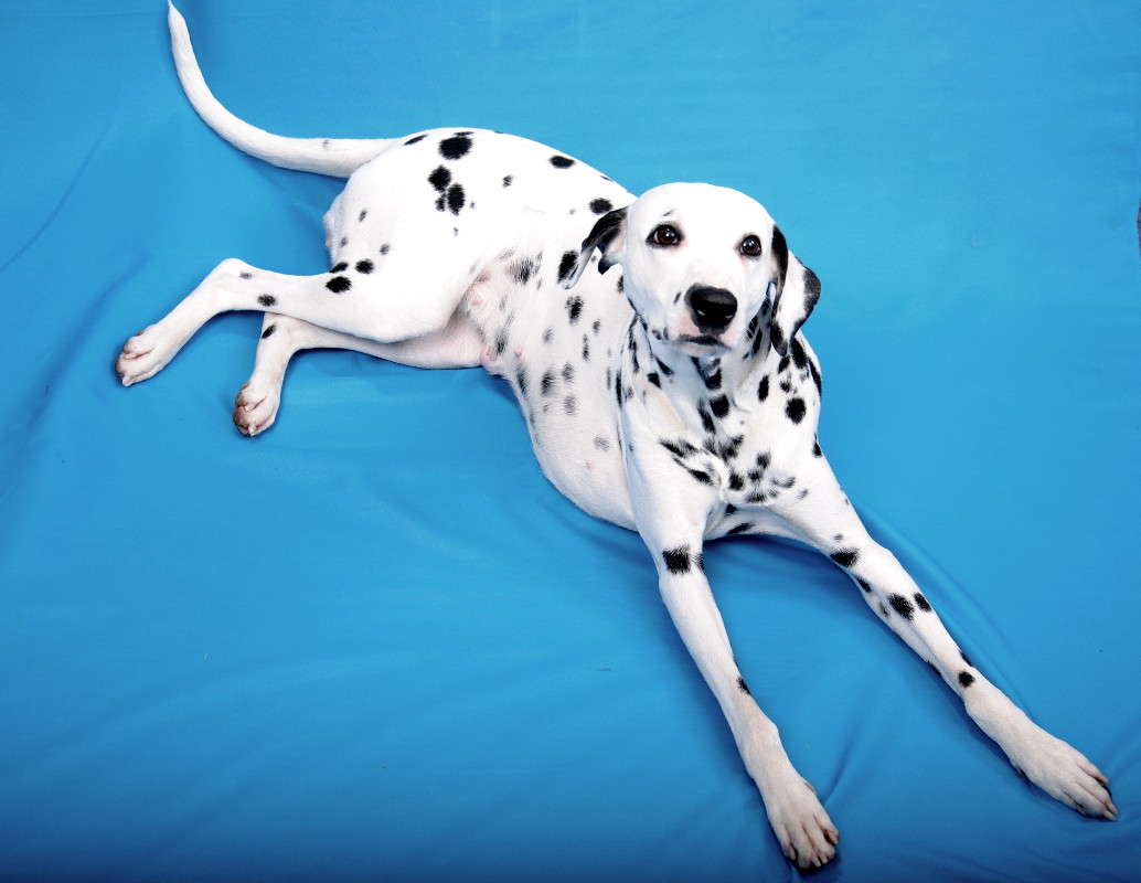 ����������. �����   �� PhotoGeek.ru #�������� ��� #�������