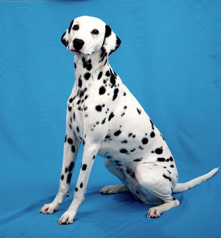 ����������. �����   �� PhotoGeek.ru #�������� ��� #�������