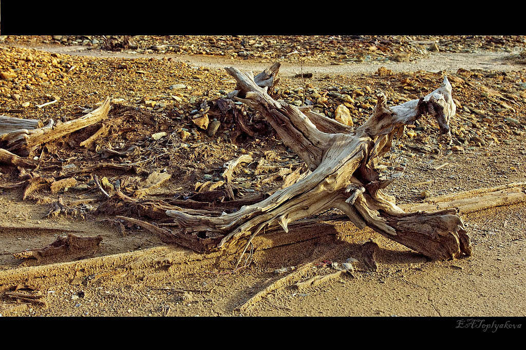 ... ����� ��������� �������� (���������) �� PhotoGeek.ru #������ ��� �������