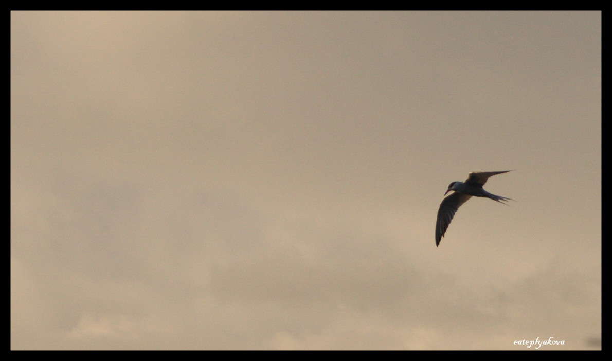 ... ����� ��������� �������� (���������) �� PhotoGeek.ru #������ ��� ������� #����� ��������