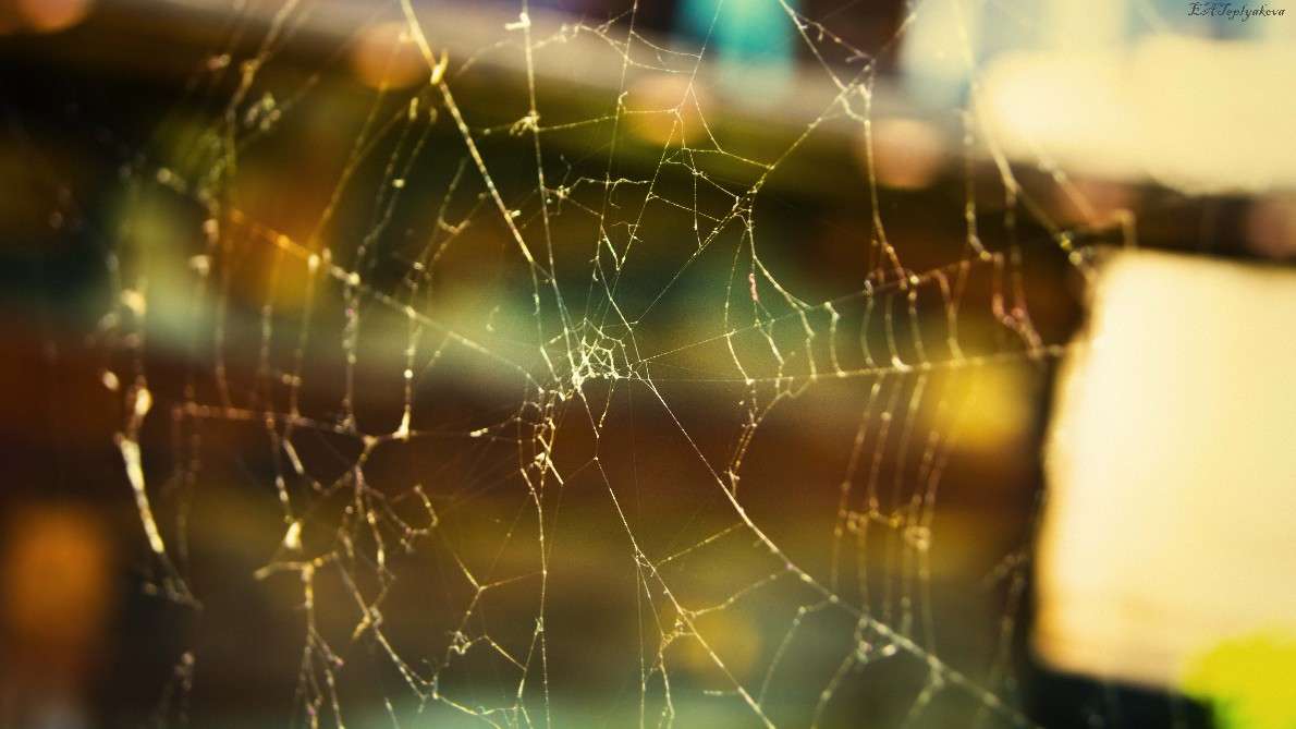 �������� ����� ��������� �������� (���������) �� PhotoGeek.ru #�����