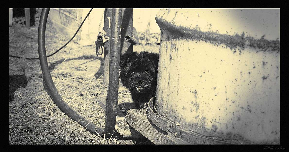 ... ����� ��������� �������� (���������) �� PhotoGeek.ru #�������� ��� #�������� ���