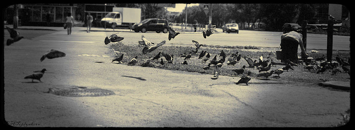 ... ����� ��������� �������� (���������) �� PhotoGeek.ru #�����