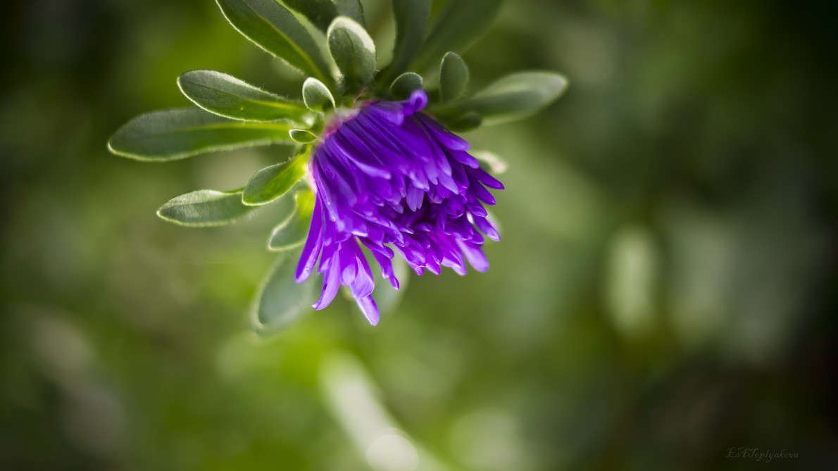 ... ����� ��������� �������� (���������) �� PhotoGeek.ru #������ ��� �������