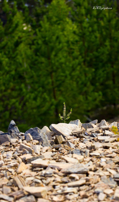 �����������! ����� ��������� �������� (���������) �� PhotoGeek.ru #������ ��� ������� #����� ��������