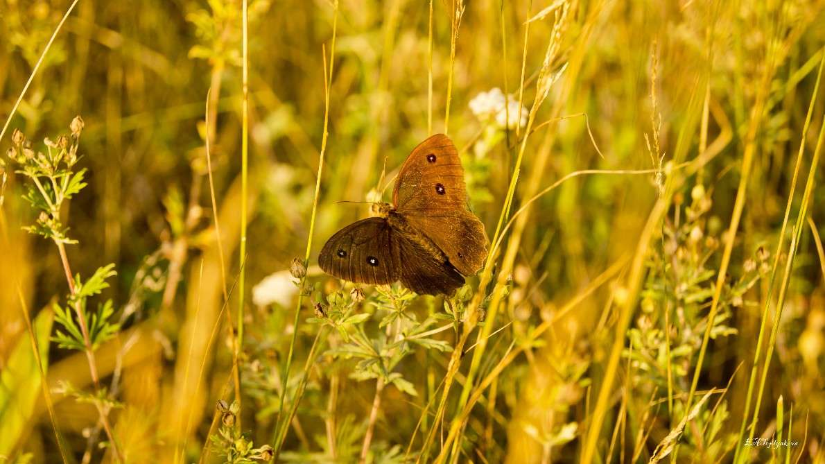 ... ����� ��������� �������� (���������) �� PhotoGeek.ru #������ ��� �������