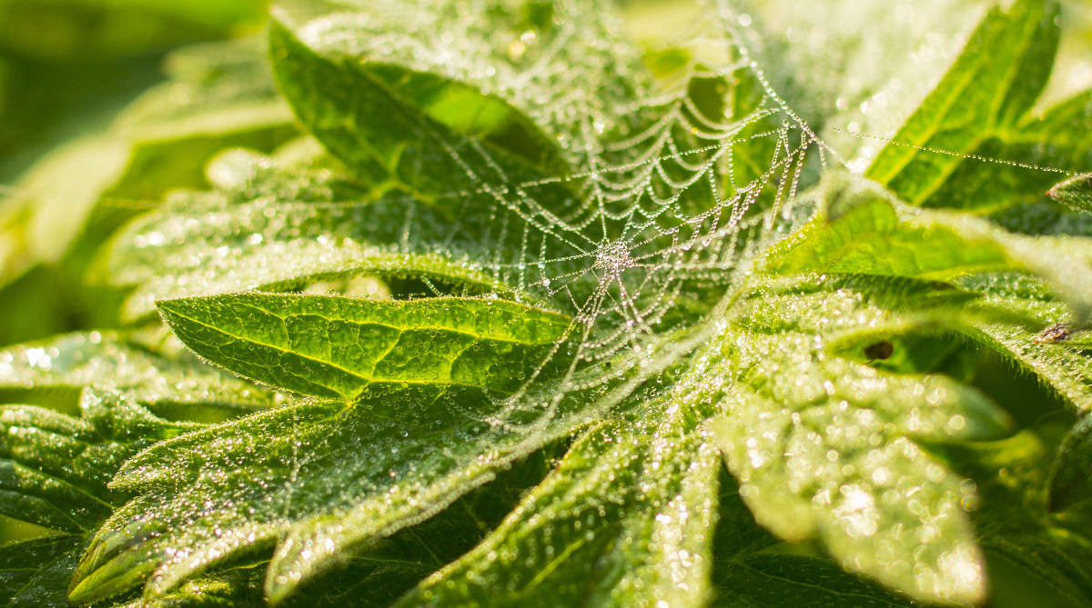 ... ����� ��������� �������� (���������) �� PhotoGeek.ru #������ ��� �������