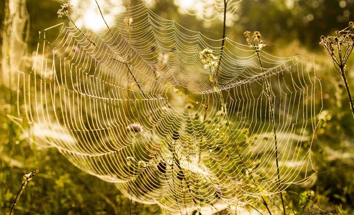 ... ����� ��������� �������� (���������) �� PhotoGeek.ru #������ ��� �������