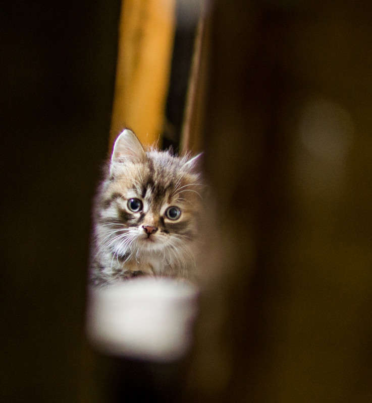 ����� ������� ����� ��������� �������� (���������) �� PhotoGeek.ru #�������� ���