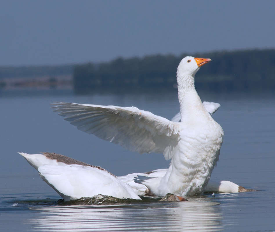 ... ����� ��������� �������� (���������) �� PhotoGeek.ru #�������� ��� #������ ��� �������