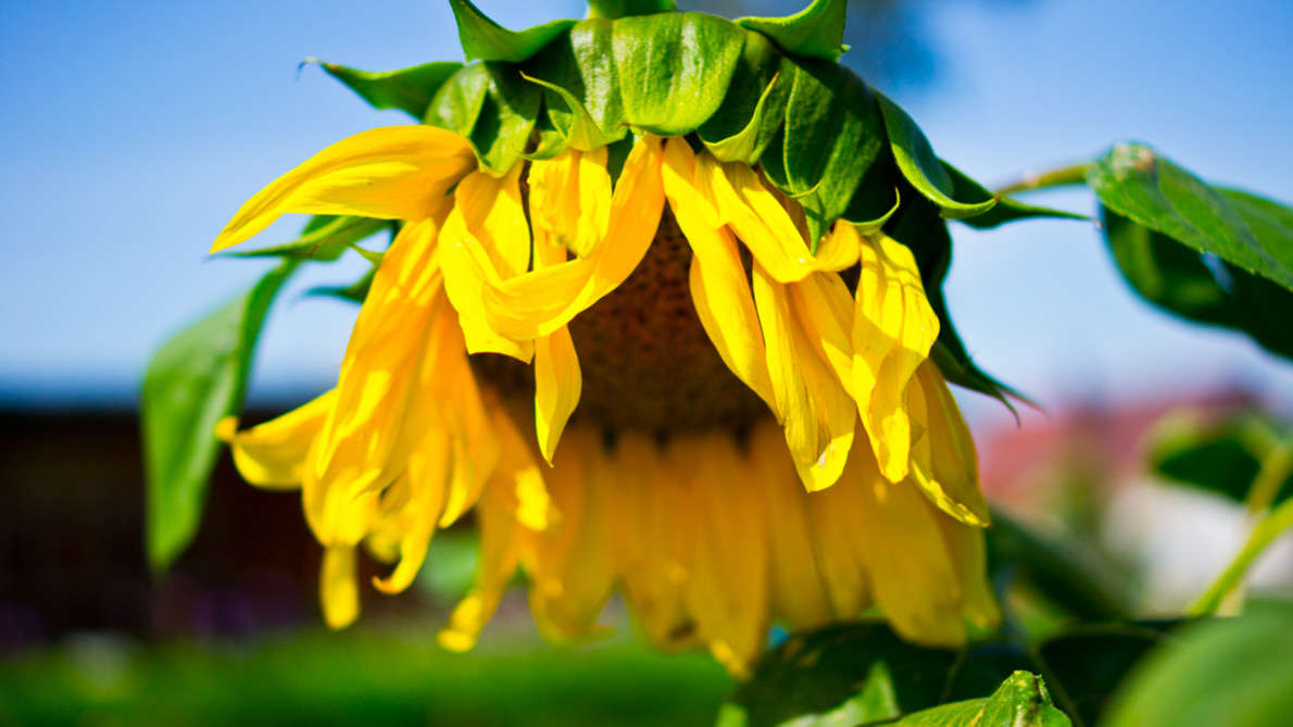 ... ����� ��������� �������� (���������) �� PhotoGeek.ru #����� #������ ��� �������