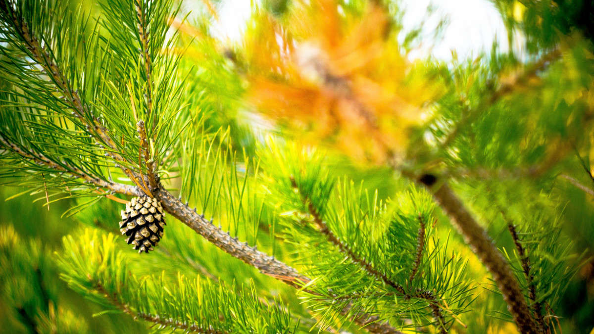 ... ����� ��������� �������� (���������) �� PhotoGeek.ru #�������� ���