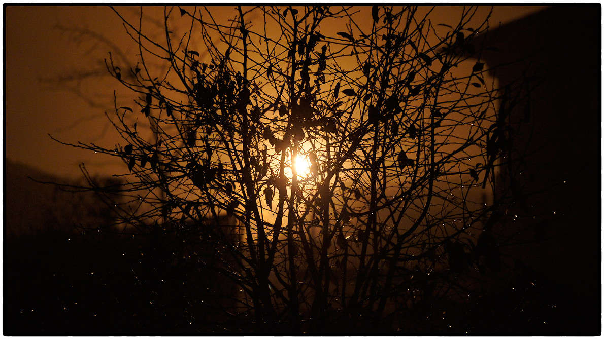 ... ����� ��������� �������� (���������) �� PhotoGeek.ru #������ ��� ������� #������