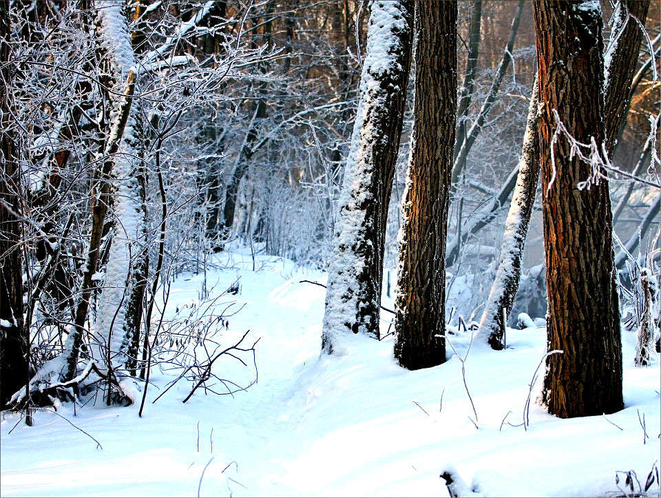 ���) ����� �������� ����� �� PhotoGeek.ru #������ ��� ������� #����� �������������� #����� ��������