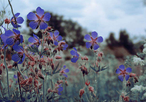 ... ����� ������  �� PhotoGeek.ru #������ ��� ������� #����� ��������������