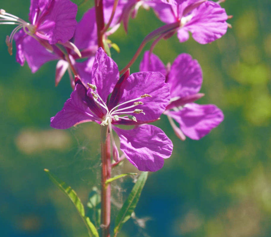 ... ����� ������  �� PhotoGeek.ru #������ ��� ������� #����� �������������� #������