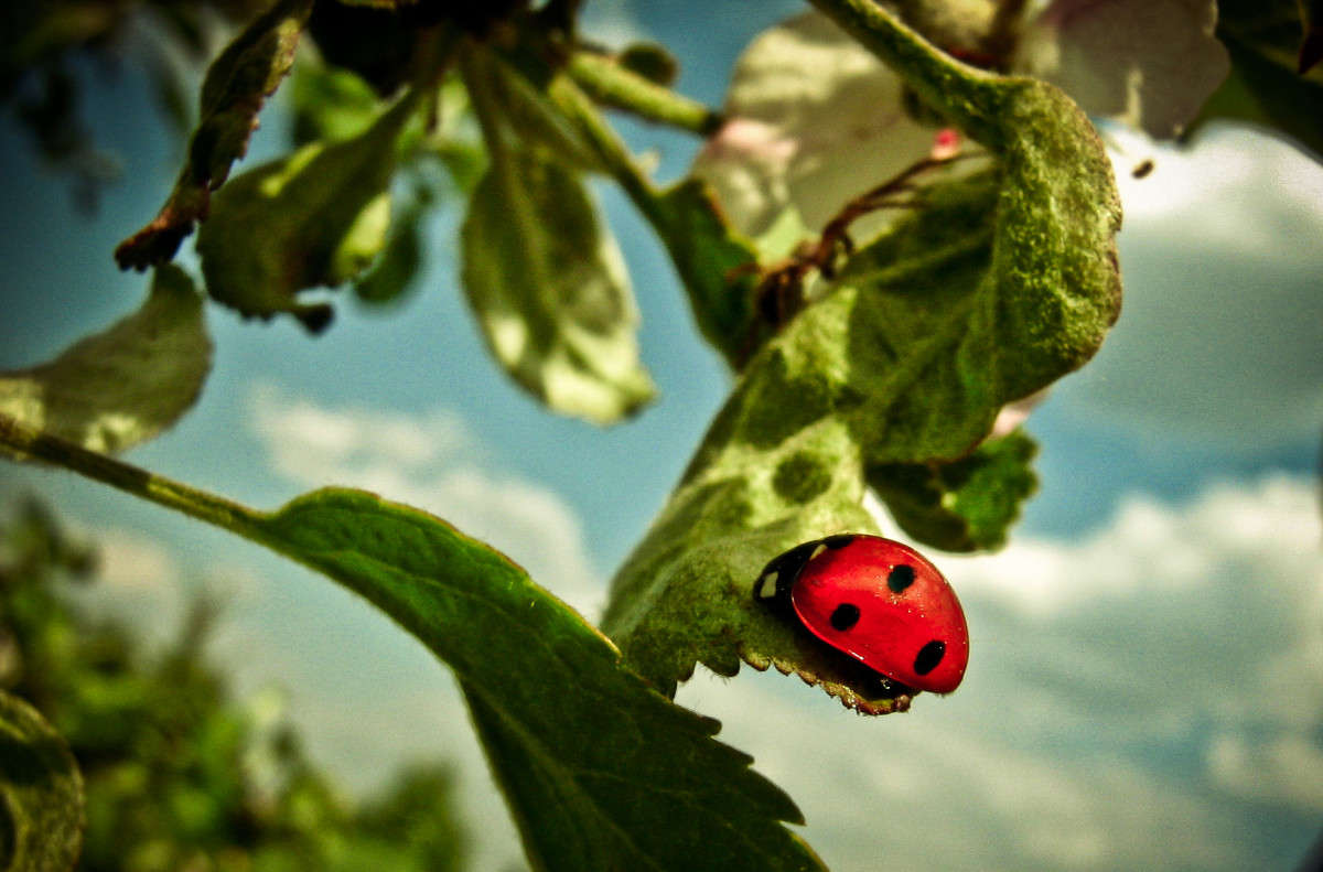 ��������� ���� ����� ����������  �� PhotoGeek.ru #����� #�������� ��� #������ ��� �������