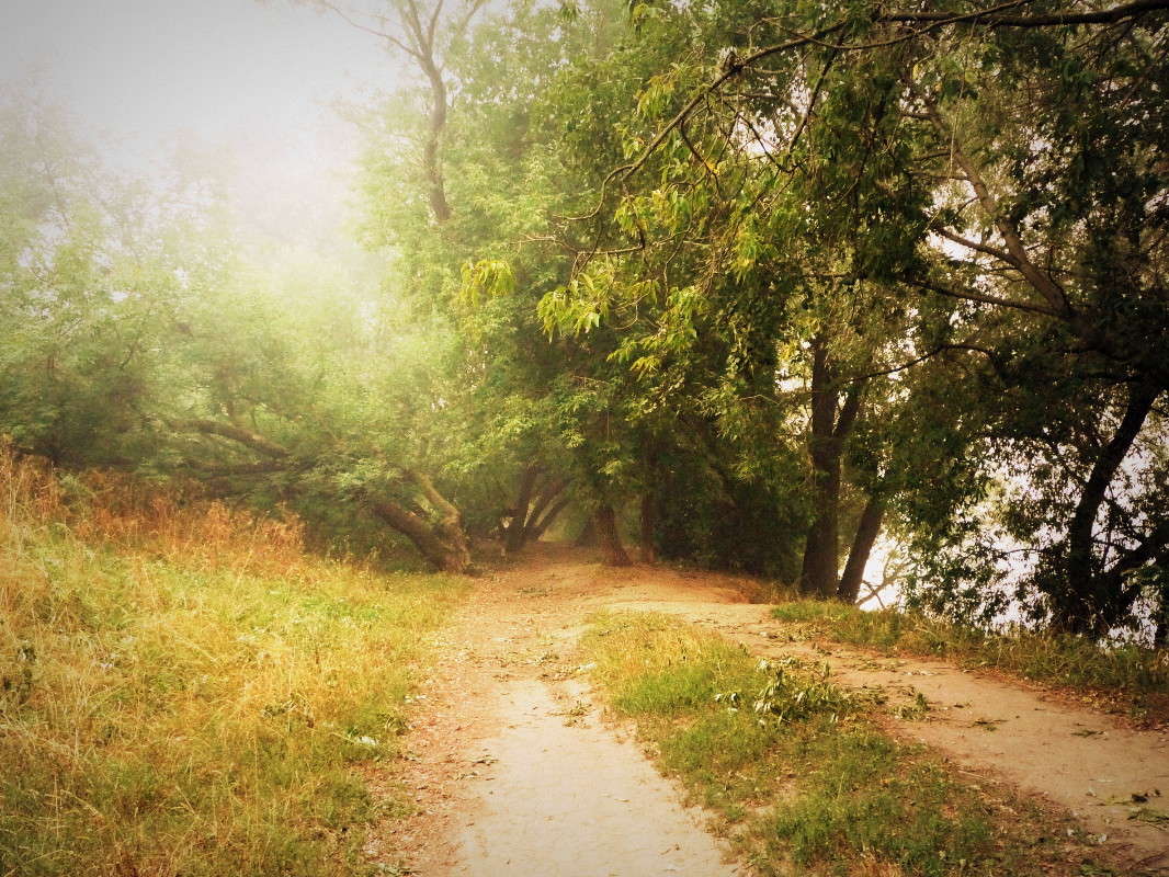 ��� ����� ����������  �� PhotoGeek.ru #����� #������ ��� �������