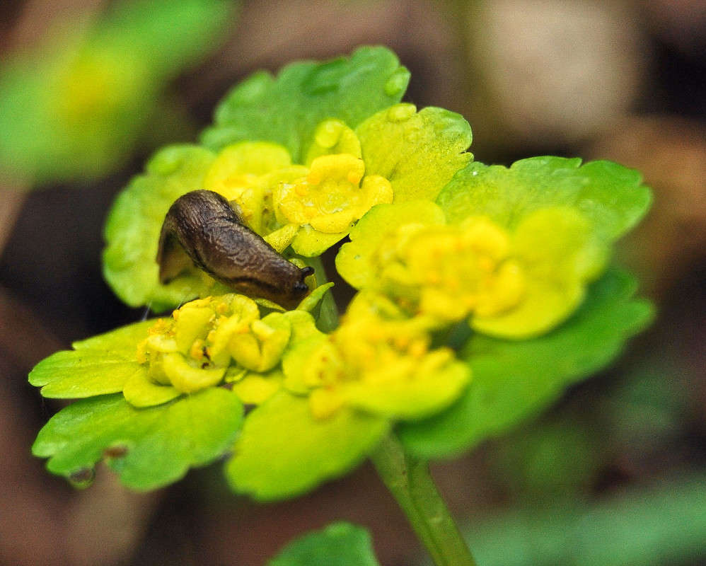 ������� ����� ����������  �� PhotoGeek.ru #����� #�������� ��� #������ ��� �������