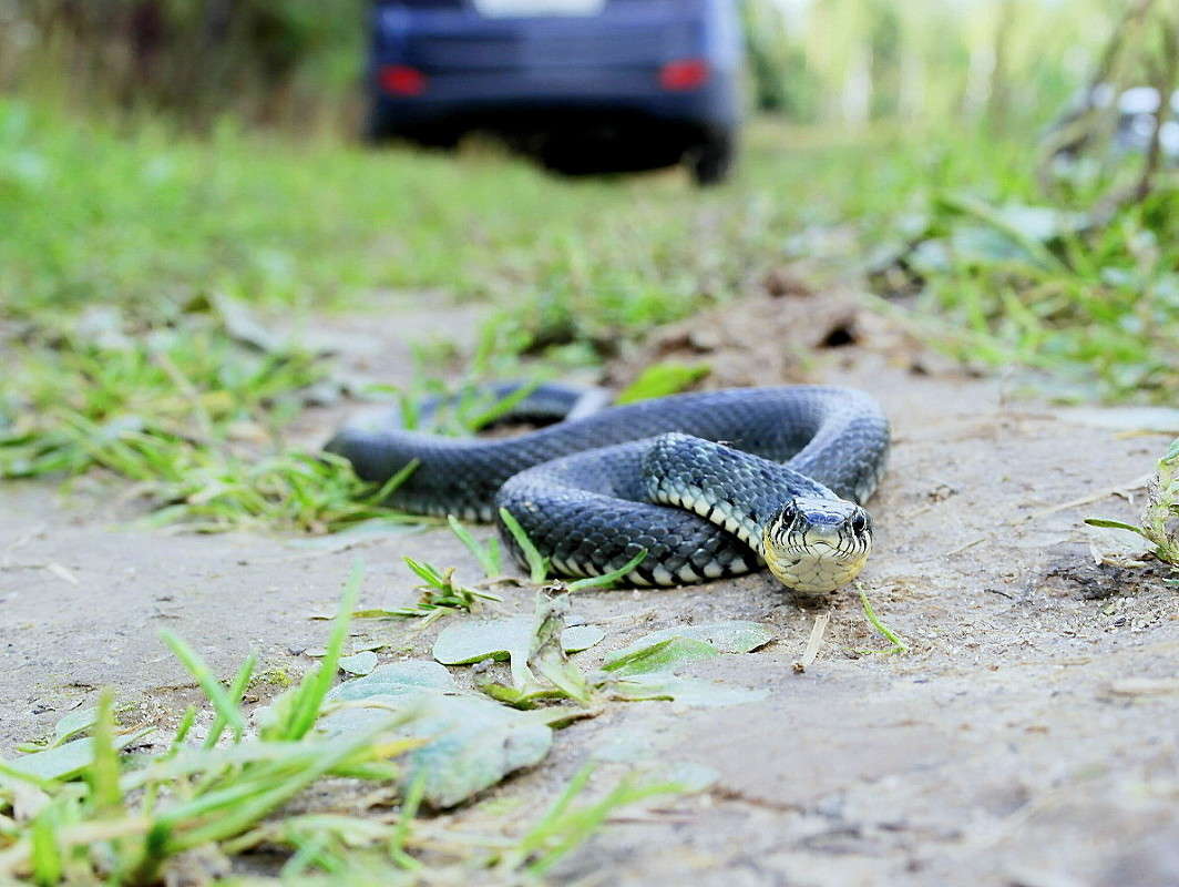 ����. ����� ����������  �� PhotoGeek.ru #�������� ��� #������ ��� �������