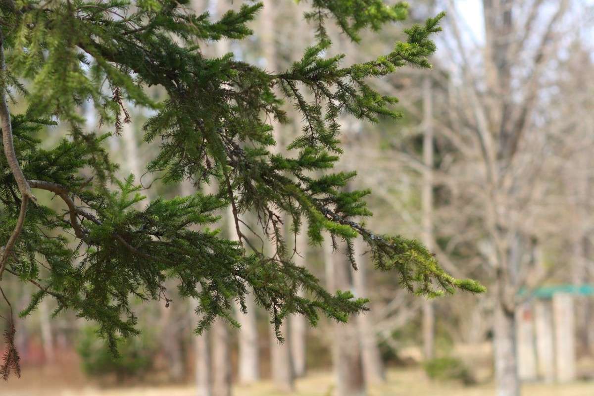 ���� ����� ��������� �������� �� PhotoGeek.ru #������ ��� ������� #����� �������������� #������