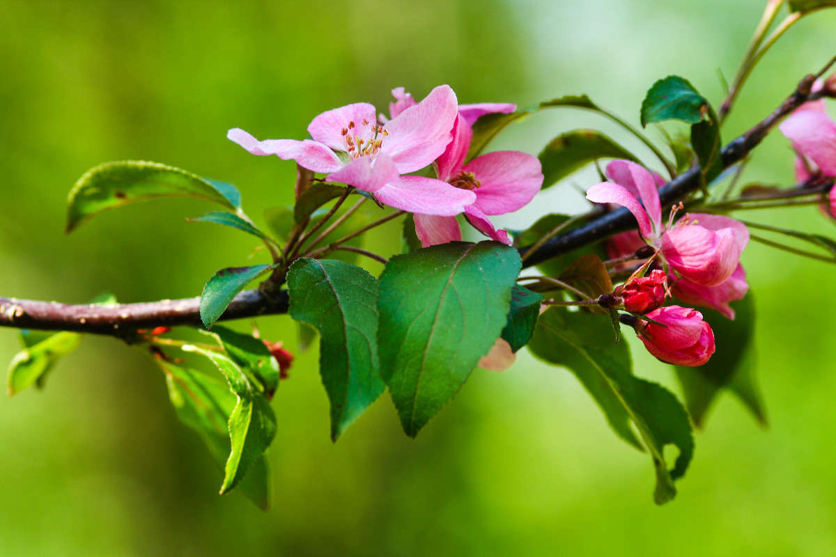 �������� ����� ��������� �������� �� PhotoGeek.ru #����� #������ ��� ������� #����� �������������� #������ #��������