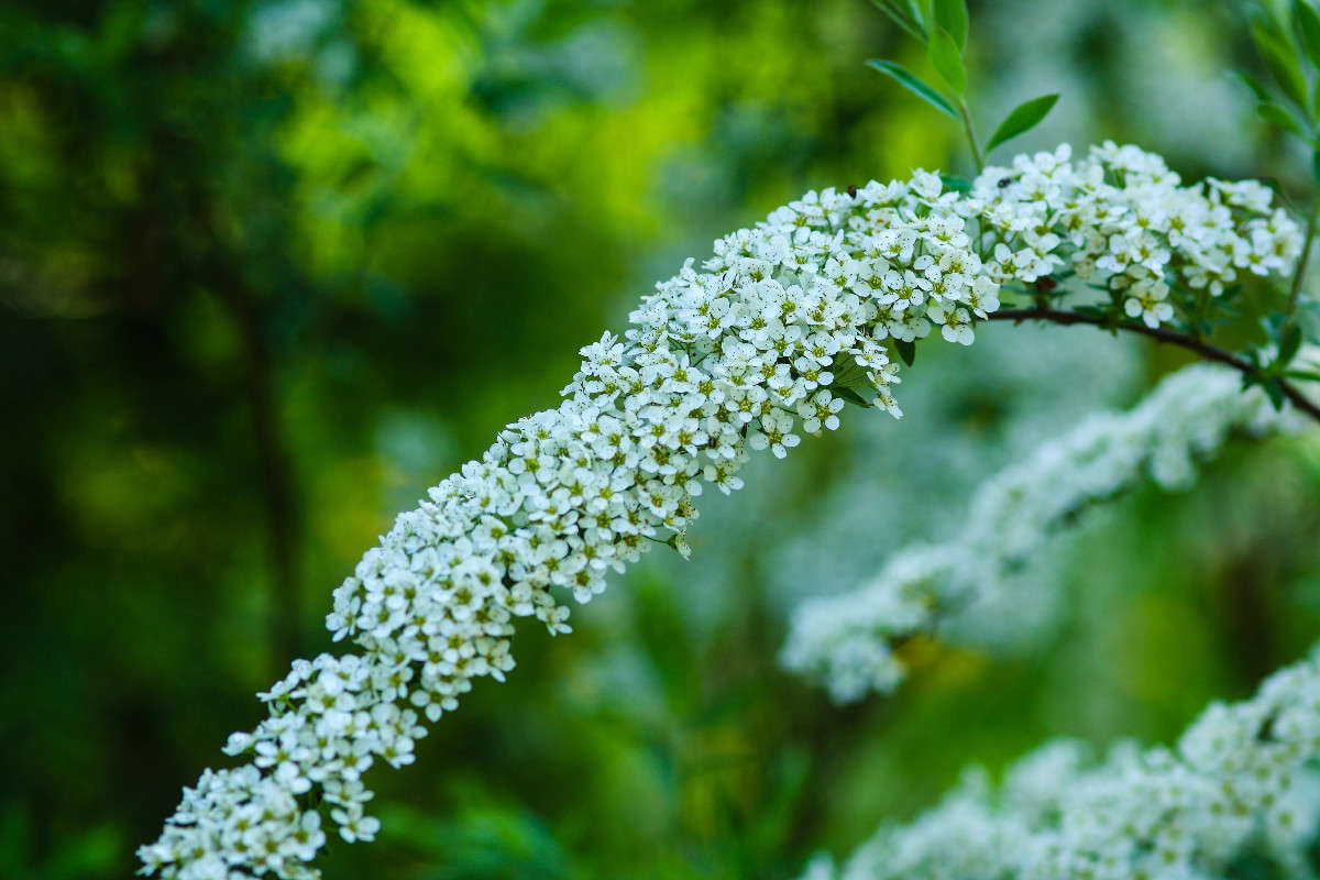 ����� ����� ��������� �������� �� PhotoGeek.ru #������ ��� ������� #����� �������������� #������