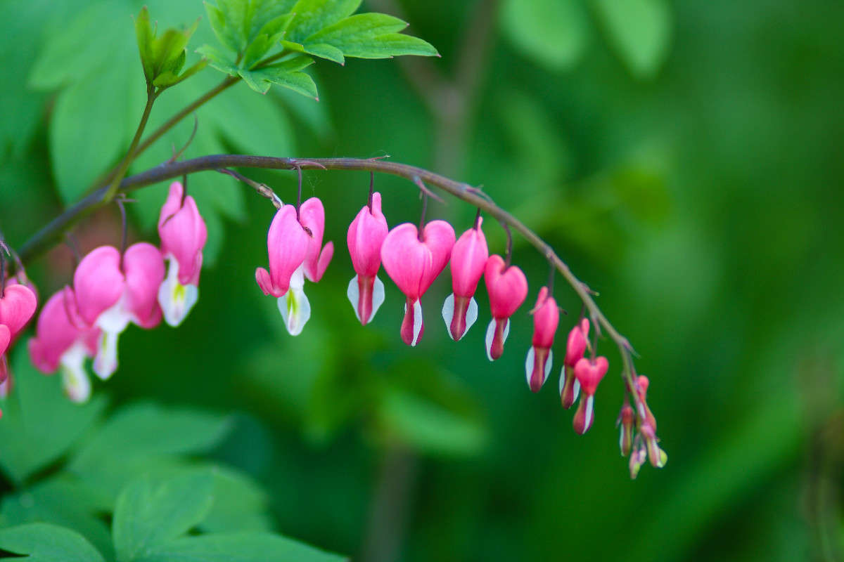 ������ ����� ��������� �������� �� PhotoGeek.ru #����� #������ ��� ������� #����� �������������� #������ #����� �������� #�����