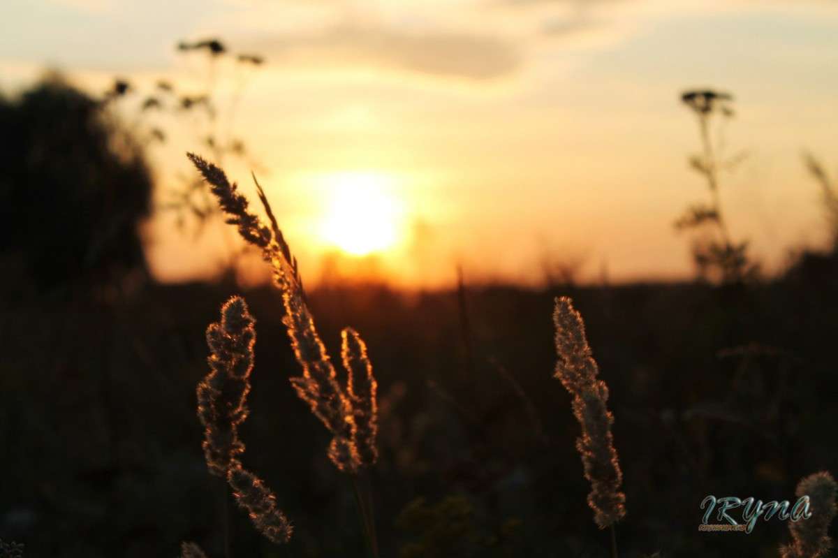 ... ����� ����� �������� �� PhotoGeek.ru #����� #����� #������ ��� ������� #����� �������������� #������