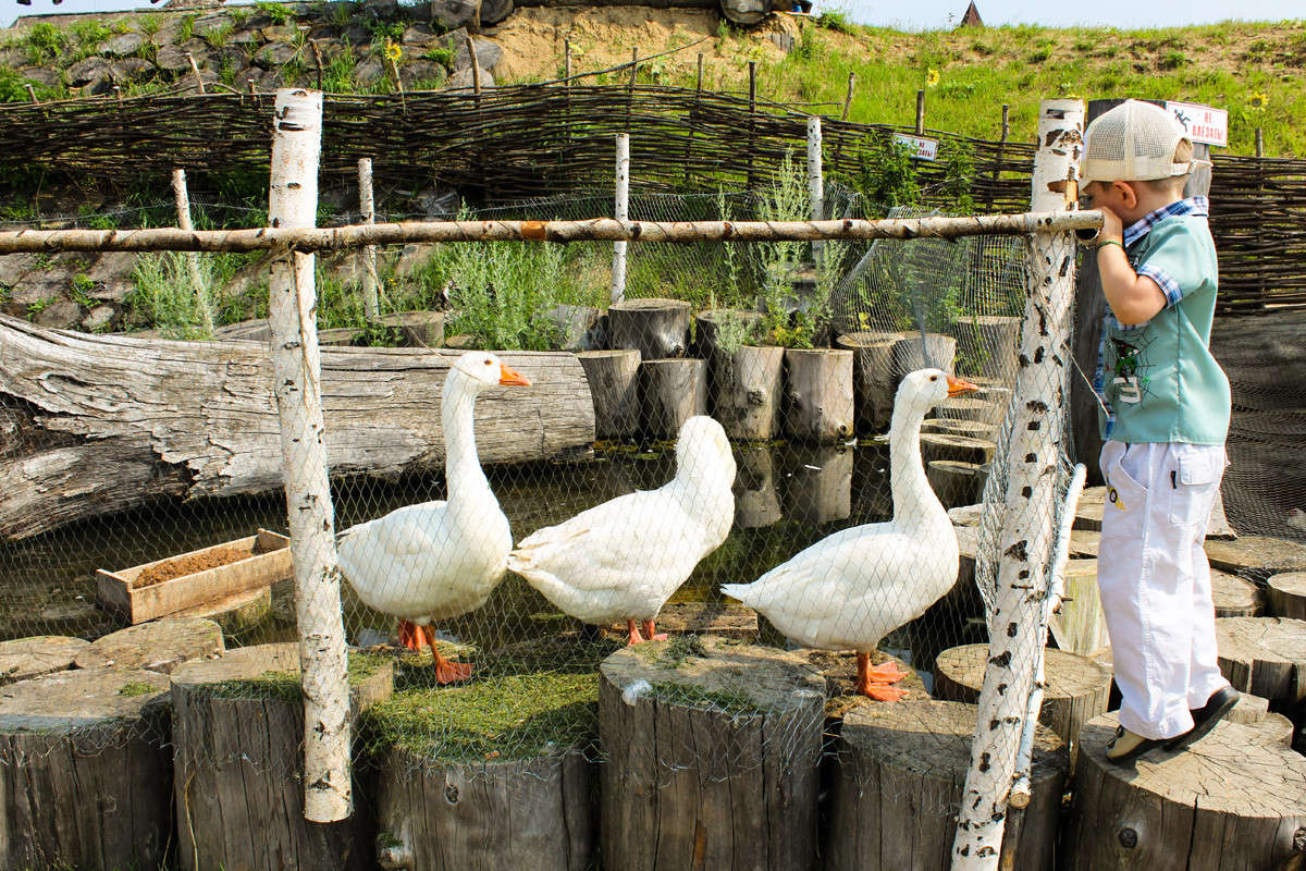 ... ����� ������� �������� �� PhotoGeek.ru #�������� ��� #�������� ���