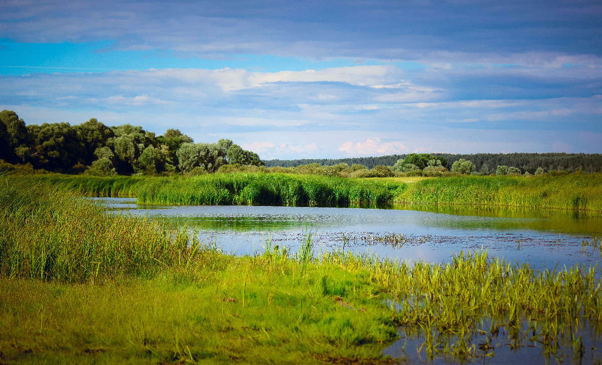 ... ����� Valeria Kuksa �� PhotoGeek.ru #������ ��� �������