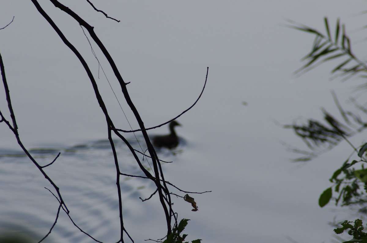 ... ����� ������� ������ �� PhotoGeek.ru #������ ��� �������