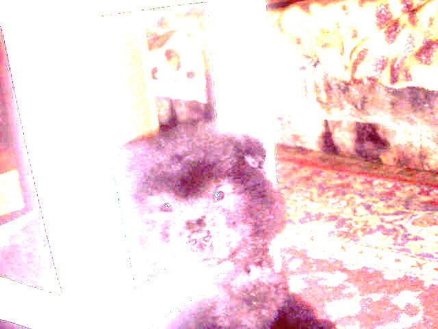 ��� �� �� ������� ���� ����� ����  ��������  �� PhotoGeek.ru #�������� ���