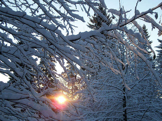���������� ����� ������ �������� �� PhotoGeek.ru #������ ��� �������