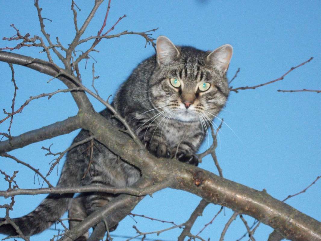 ���� ����? ������ �����... ����� ������ �������� �� PhotoGeek.ru #�������� ��� #������ ��� �������