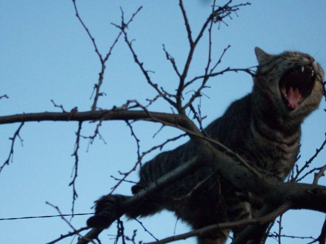 ������� ����, �������.... ����� ������ �������� �� PhotoGeek.ru #�������� ���