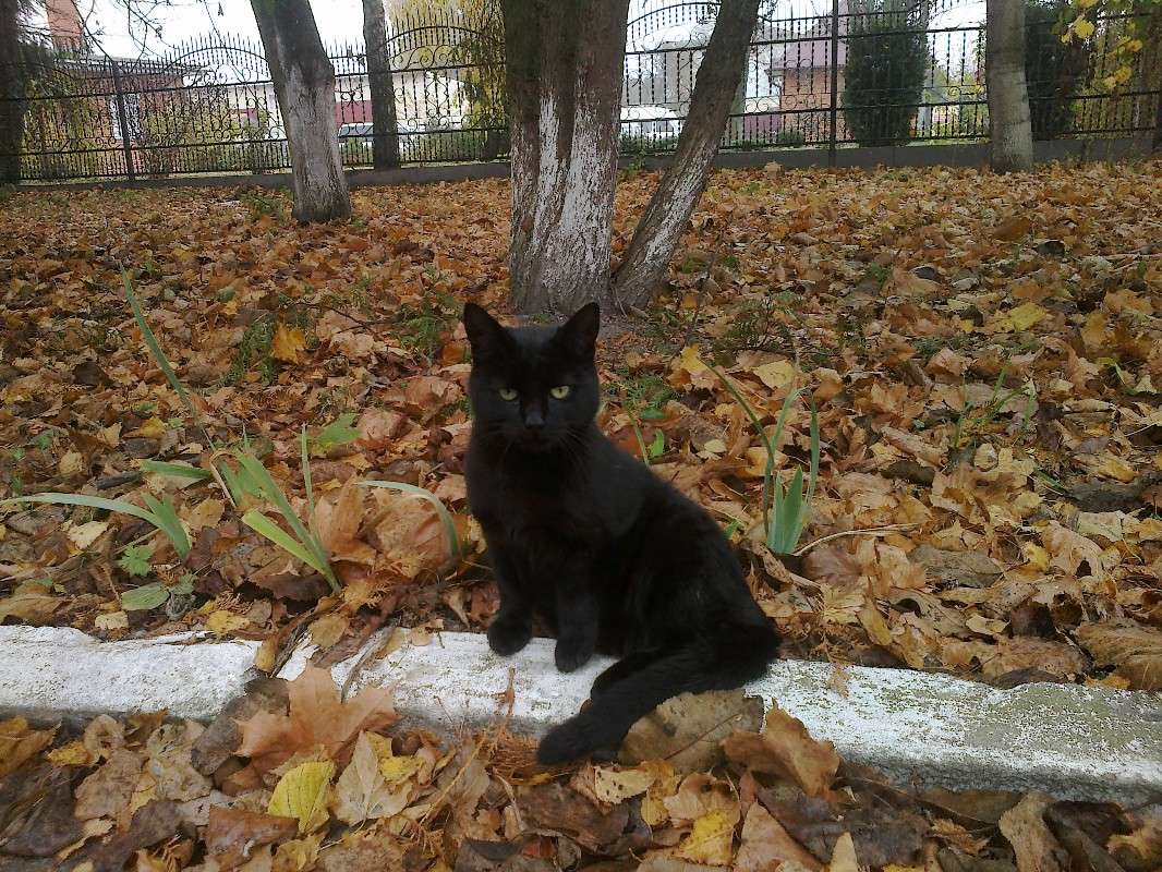 ������... ����� ������ �������� �� PhotoGeek.ru #�������� ���