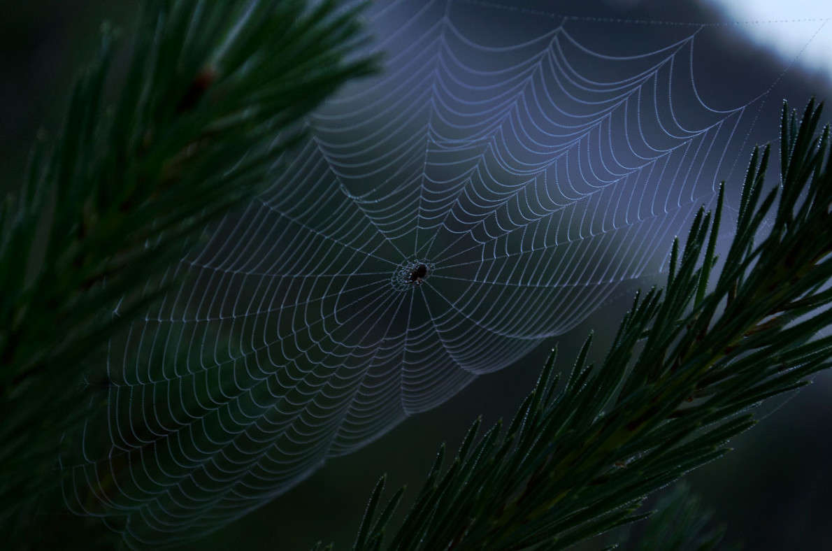 �� ��� �� ������� ����� ��������� ��������� �� PhotoGeek.ru #������ ��� �������