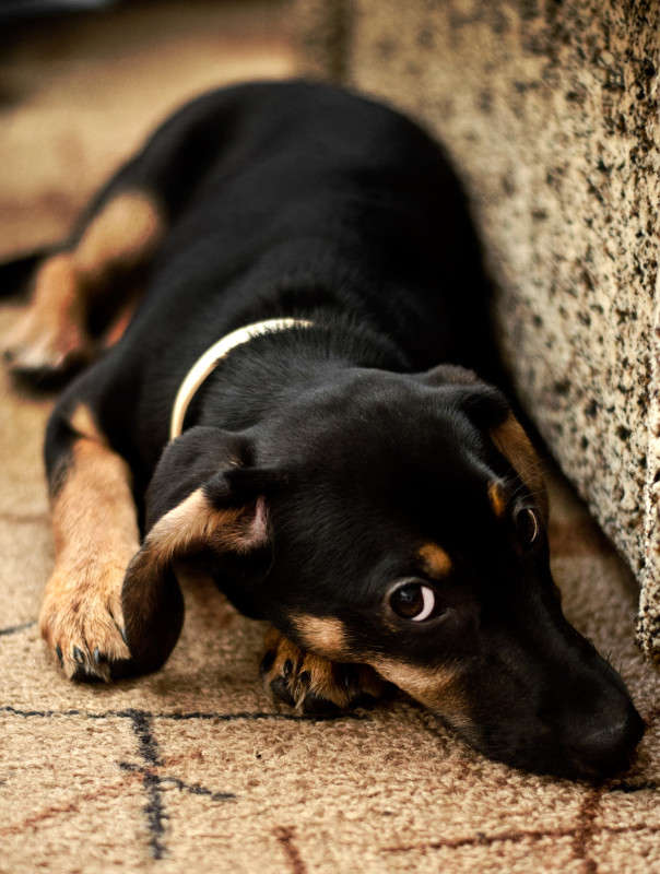 � �� �? � �� �� � ������ ��� �� �! ����� ��������� ��������� �� PhotoGeek.ru #�������� ���