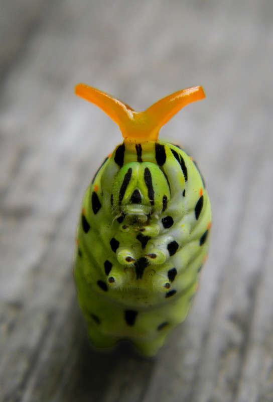 �� �� ���� �� ��� ��� ����� ��������� ��������� �� PhotoGeek.ru #�����