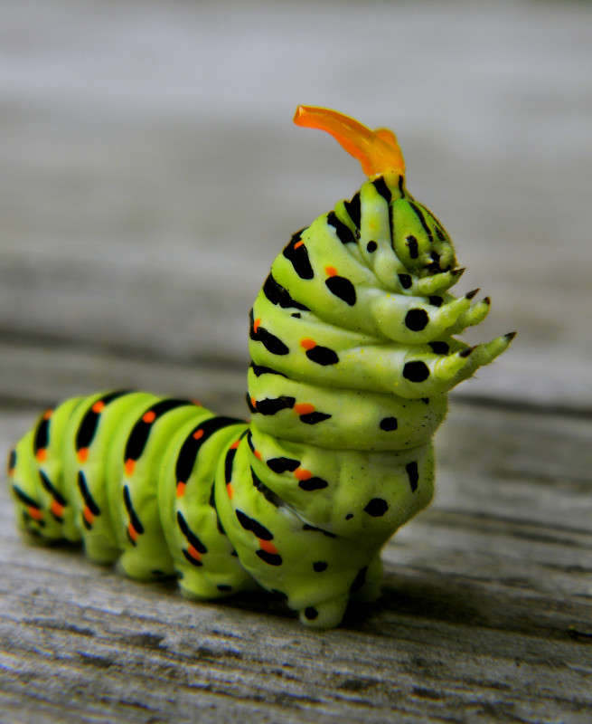 ������� ����� ��������� ��������� �� PhotoGeek.ru #�����