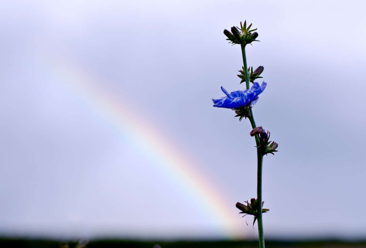 ���������� ���� ������� ������ ����� ��������� ��������� �� PhotoGeek.ru #������ ��� �������