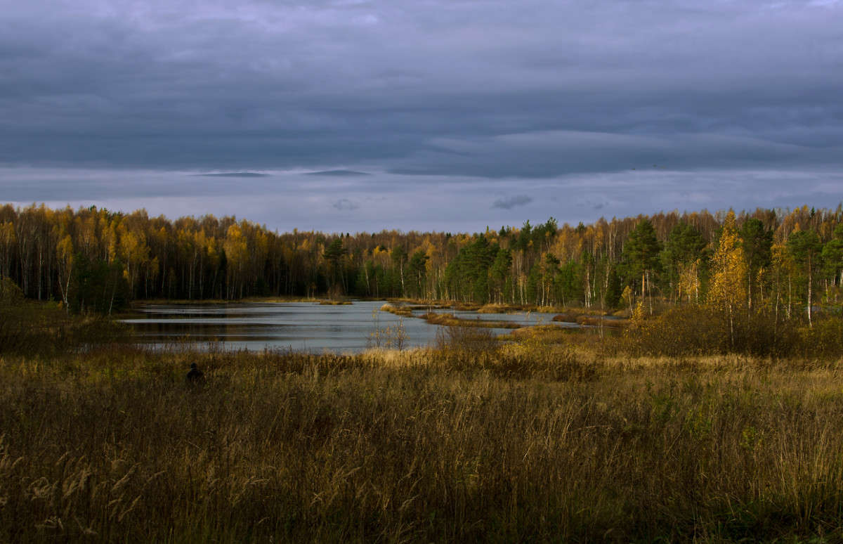 ��� � ����� ����� ��������� ��������� �� PhotoGeek.ru #������ ��� �������