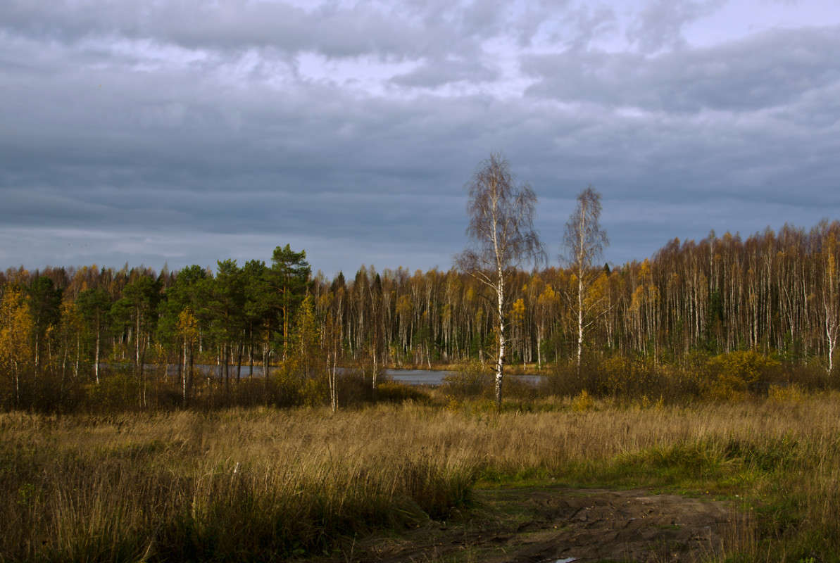 ������� ��������� ����� ��������� ��������� �� PhotoGeek.ru #������ ��� �������